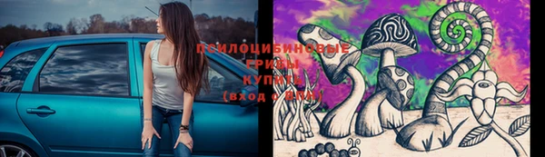 мяу мяу мука Осташков