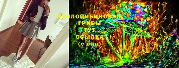 ПСИЛОЦИБИНОВЫЕ ГРИБЫ Остров