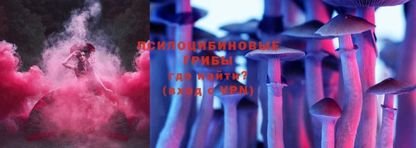 мяу мяу мука Осташков