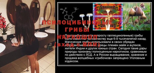 эйфоретик Пересвет