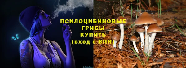 эйфоретик Пересвет