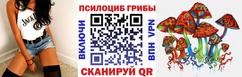 omg зеркало  Тбилисская  Псилоцибиновые грибы GOLDEN TEACHER 
