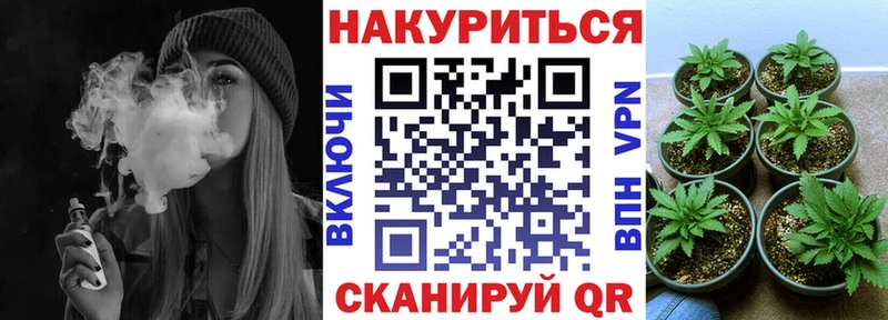 где можно купить наркотик  Тбилисская  Бошки Шишки конопля 